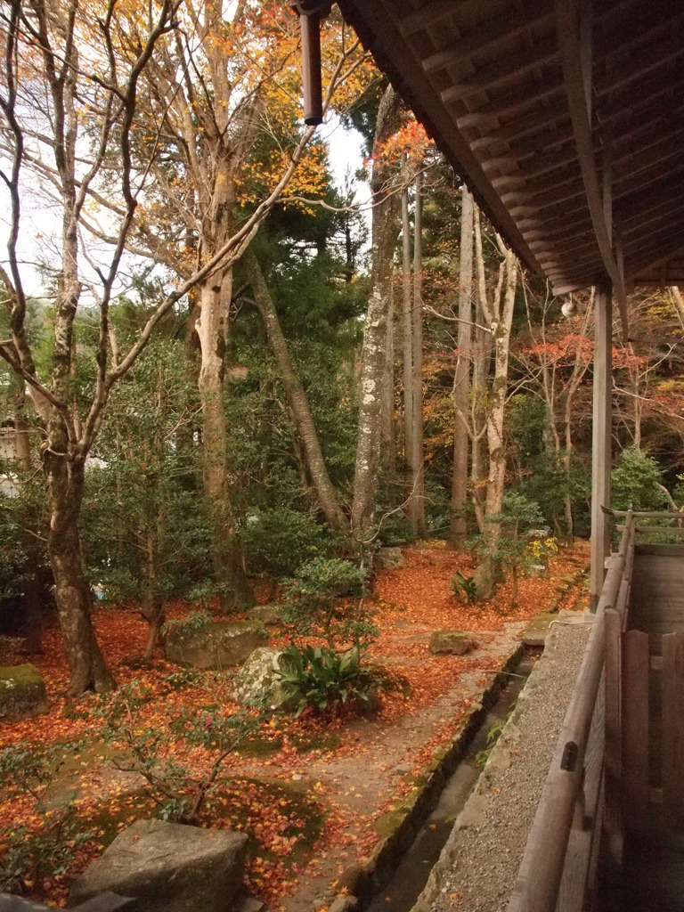 京都大原三千院