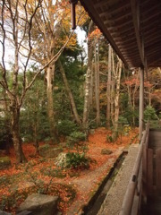 京都大原三千院