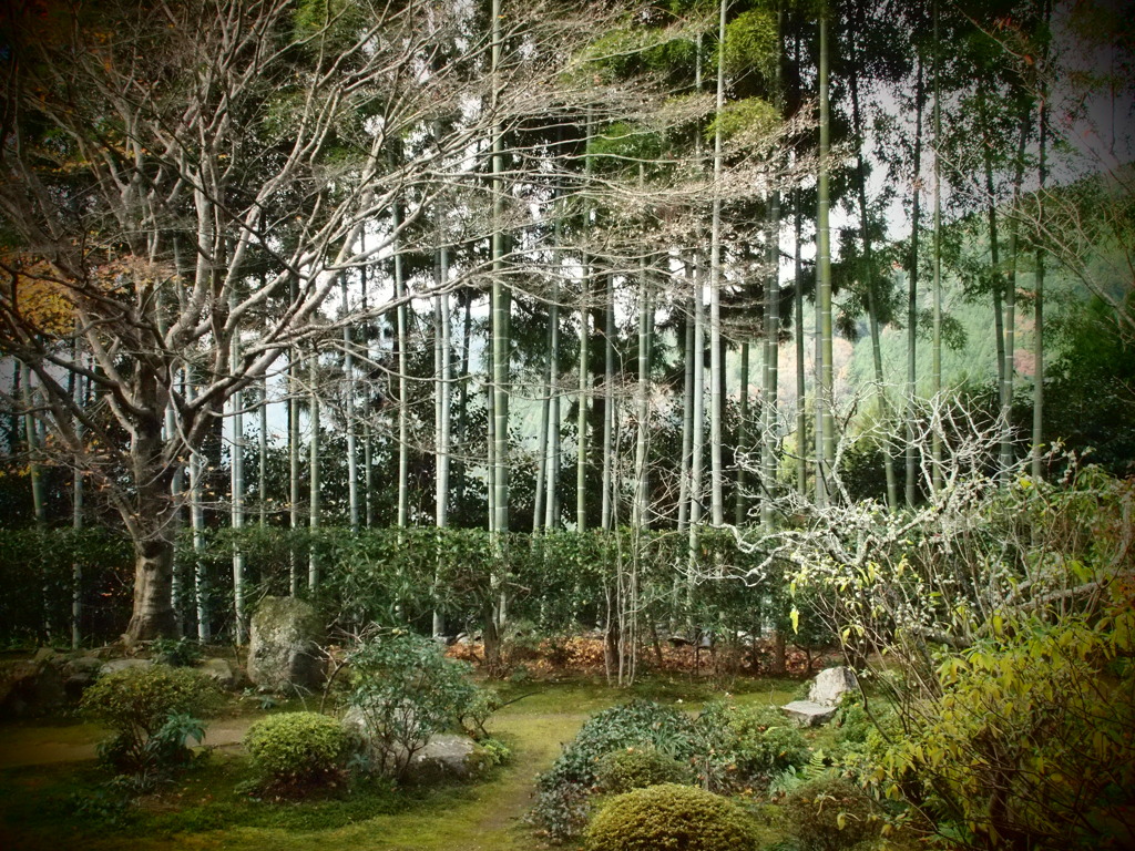 京都　大原三千院
