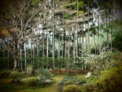 京都　大原三千院