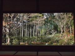京都　大原三千院