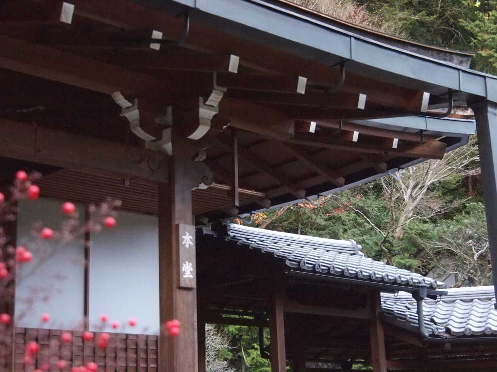 京都大原寂光院