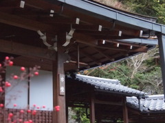 京都大原寂光院