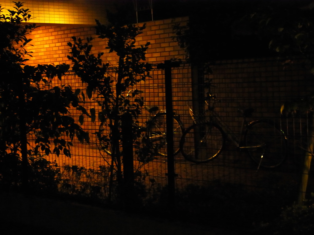 家路