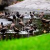 これが僕らの夏休み