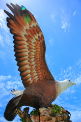 今飛び立つ