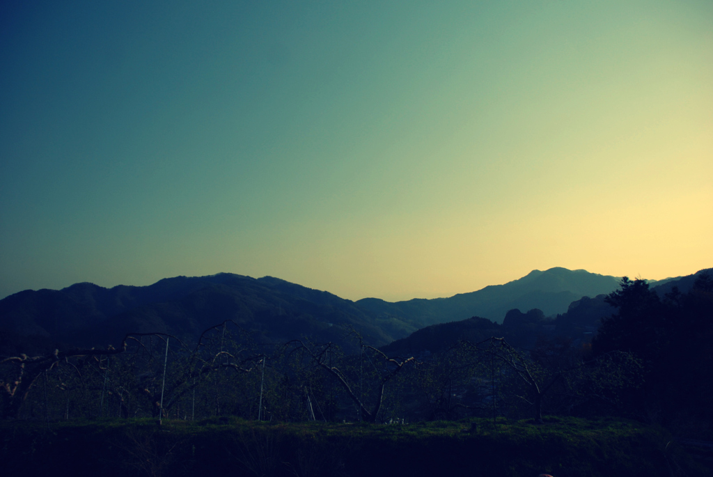 田舎の風景