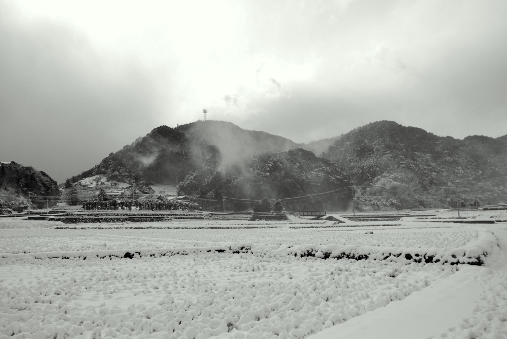 長崎の冬２