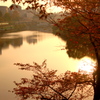 夕方