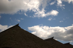 屋根