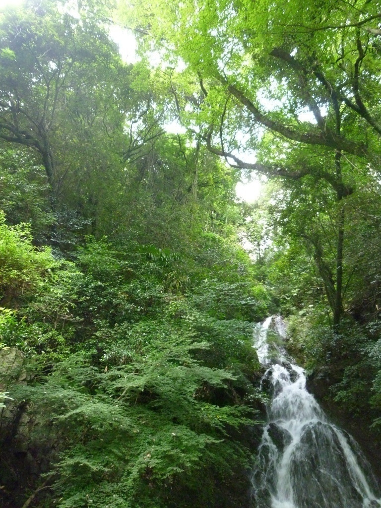 P1000560