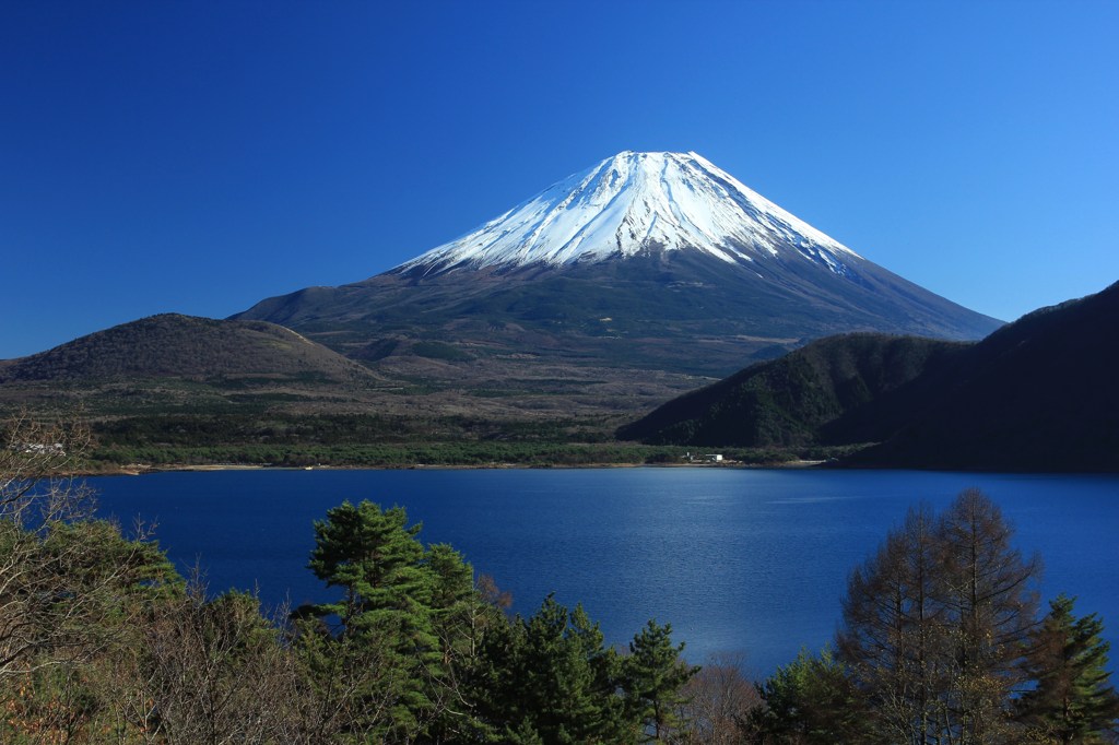 富士山①