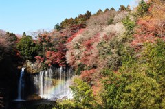 静岡県　白糸の滝②