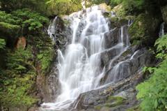 白糸の滝②