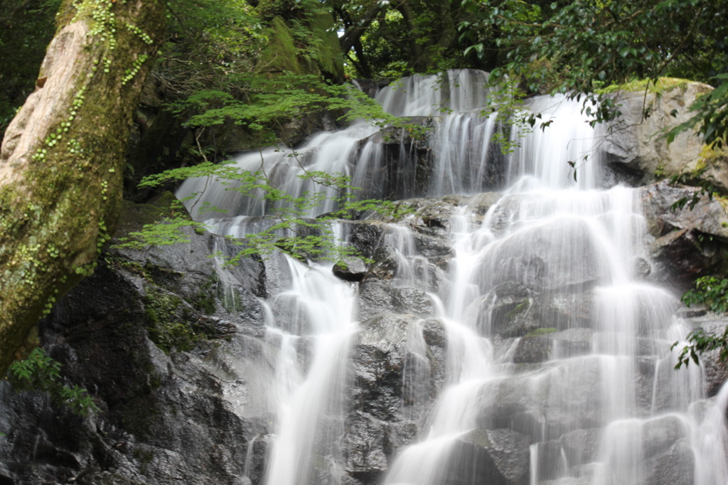 福岡県　白糸の滝①