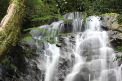 福岡県　白糸の滝①