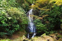 観音の滝