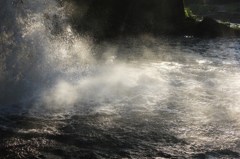 慈音の滝④