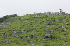 福岡県　平尾台　