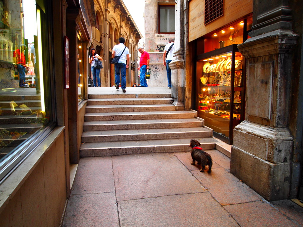 VENEZIA