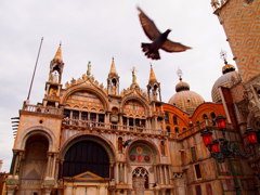VENEZIA