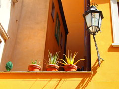 SICILIA