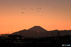 夕焼けに富士山
