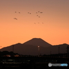 夕焼けに富士山