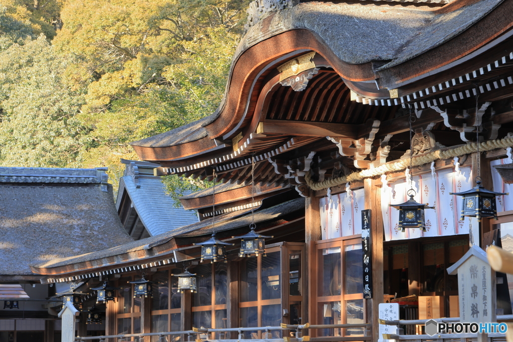 巳年の大神神社