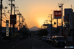 遠くから富士山を望む