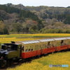 トロッコと菜の花