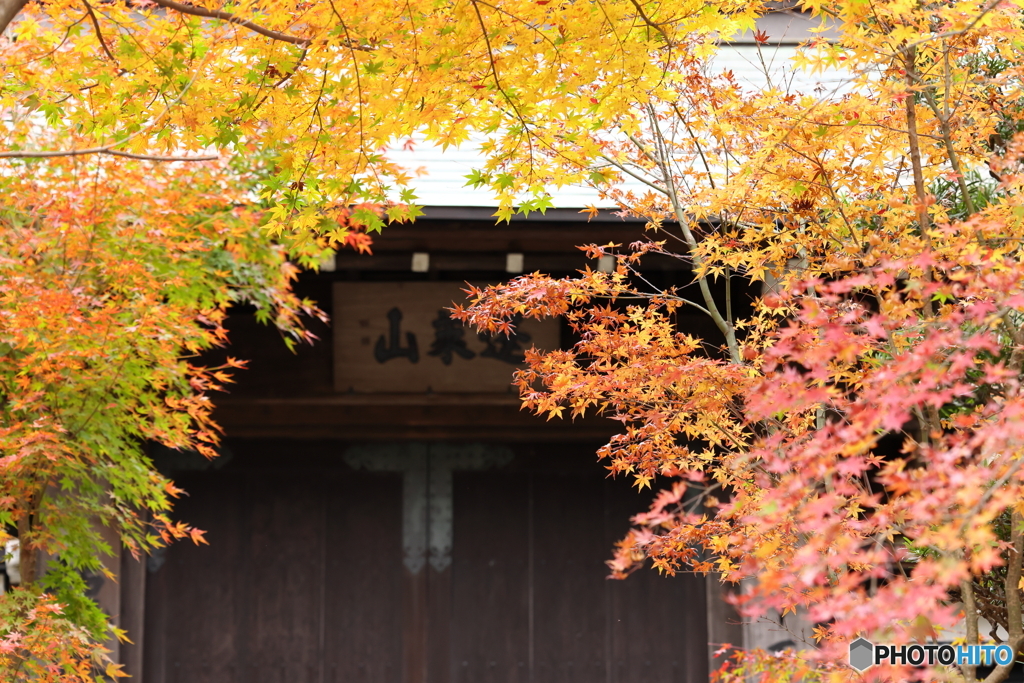 紅葉による囲み