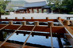 橿原神宮の手水舎