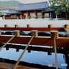 橿原神宮の手水舎