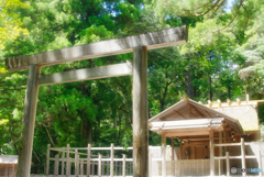 夏の瀧原宮