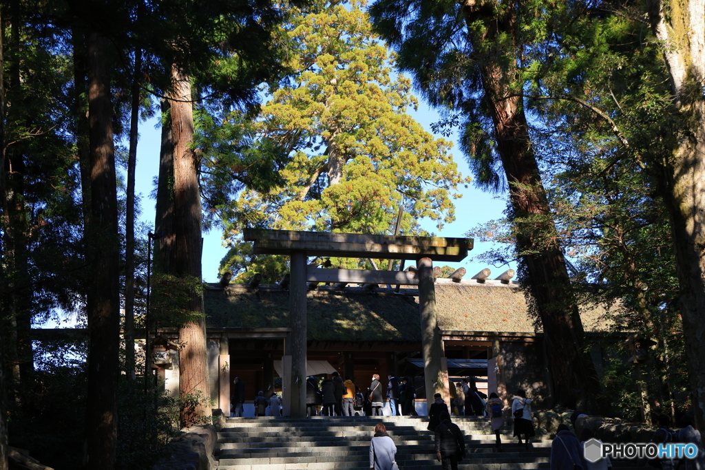 皇大神宮