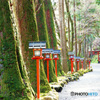 貴布禰総本宮 貴船神社奥宮への参道