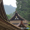 靄がかかる社殿