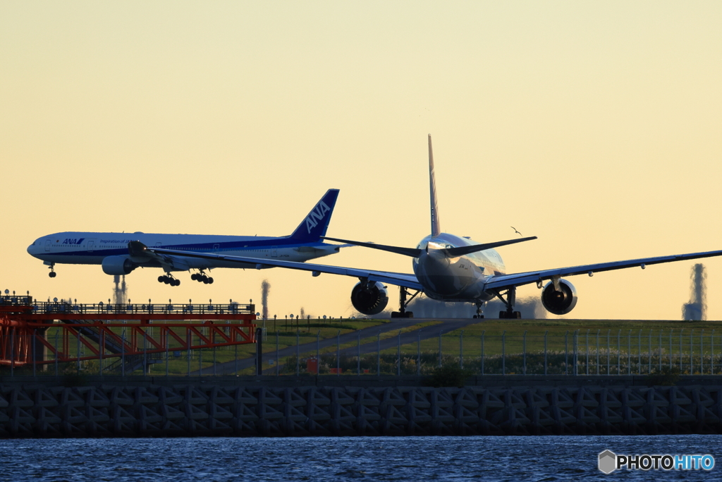 夕方の羽田空港