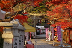 秋の出雲大神宮