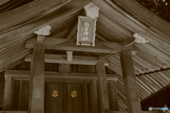 稲田神社“姫”