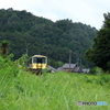 気動車が来る