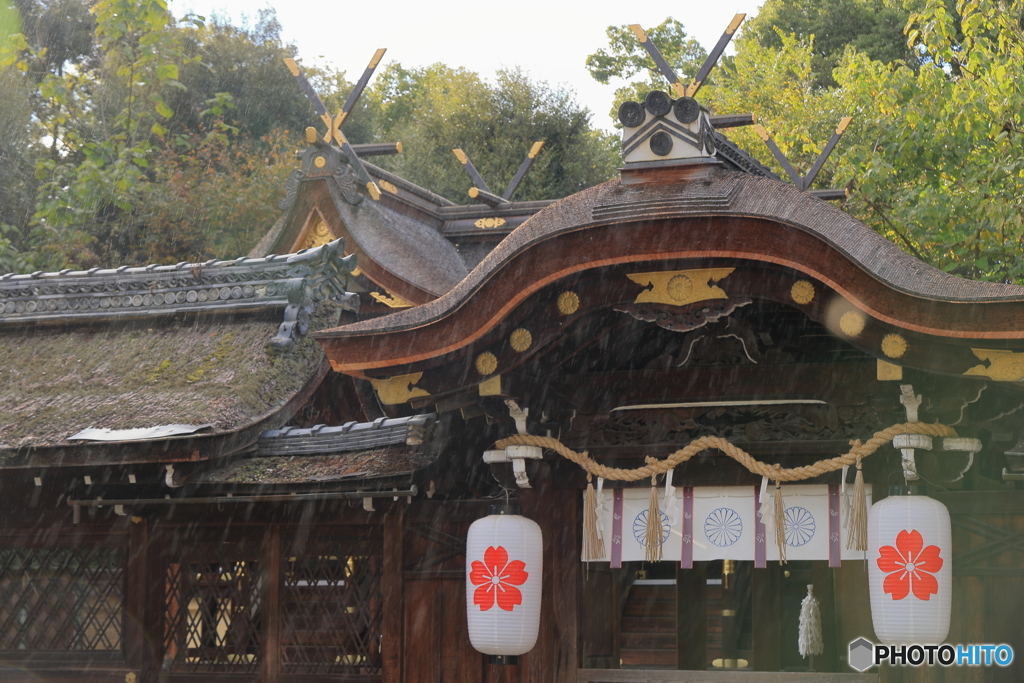雨の平野神社