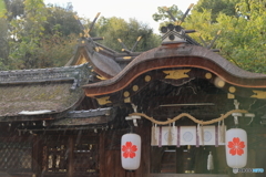 雨の平野神社