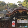 雨の平野神社