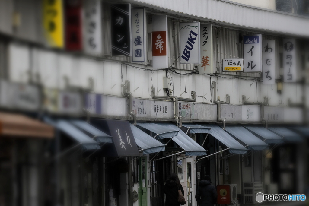 ザ・ハーモニカ横丁
