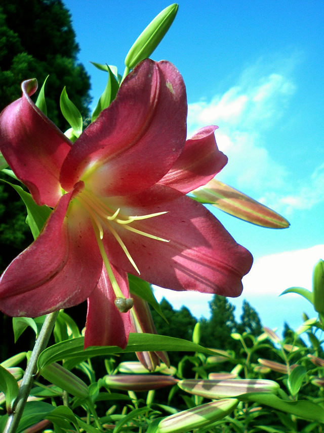 20100710_06