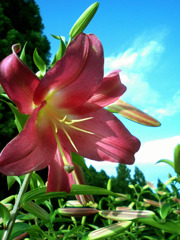 20100710_06