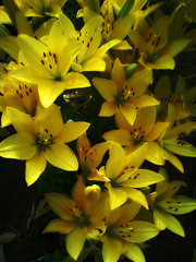 20100710_04