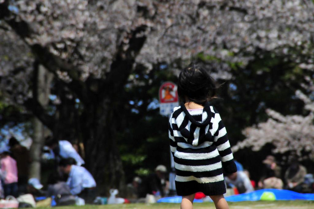 SAKURAと桜